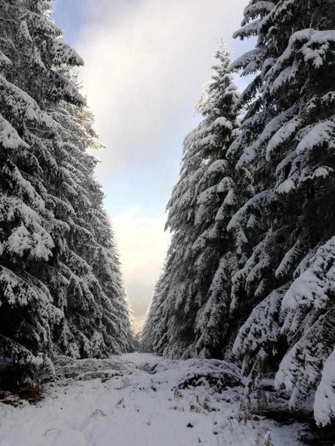 Chalet Du Praillage Spa Kültér fotó